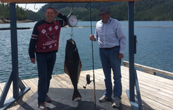 What A Halibut In British Columbia 